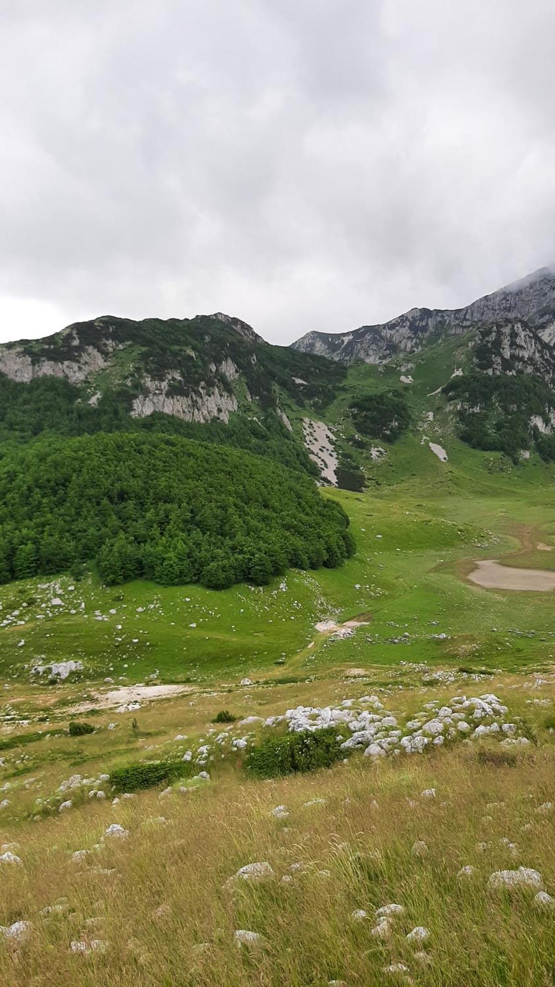 Apartments Durmitor Žabljak Dış mekan fotoğraf