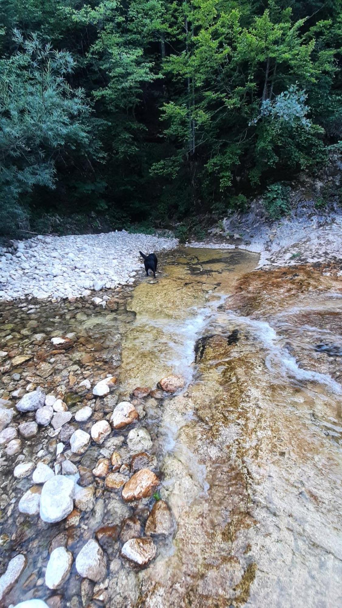 Apartments Durmitor Žabljak Dış mekan fotoğraf