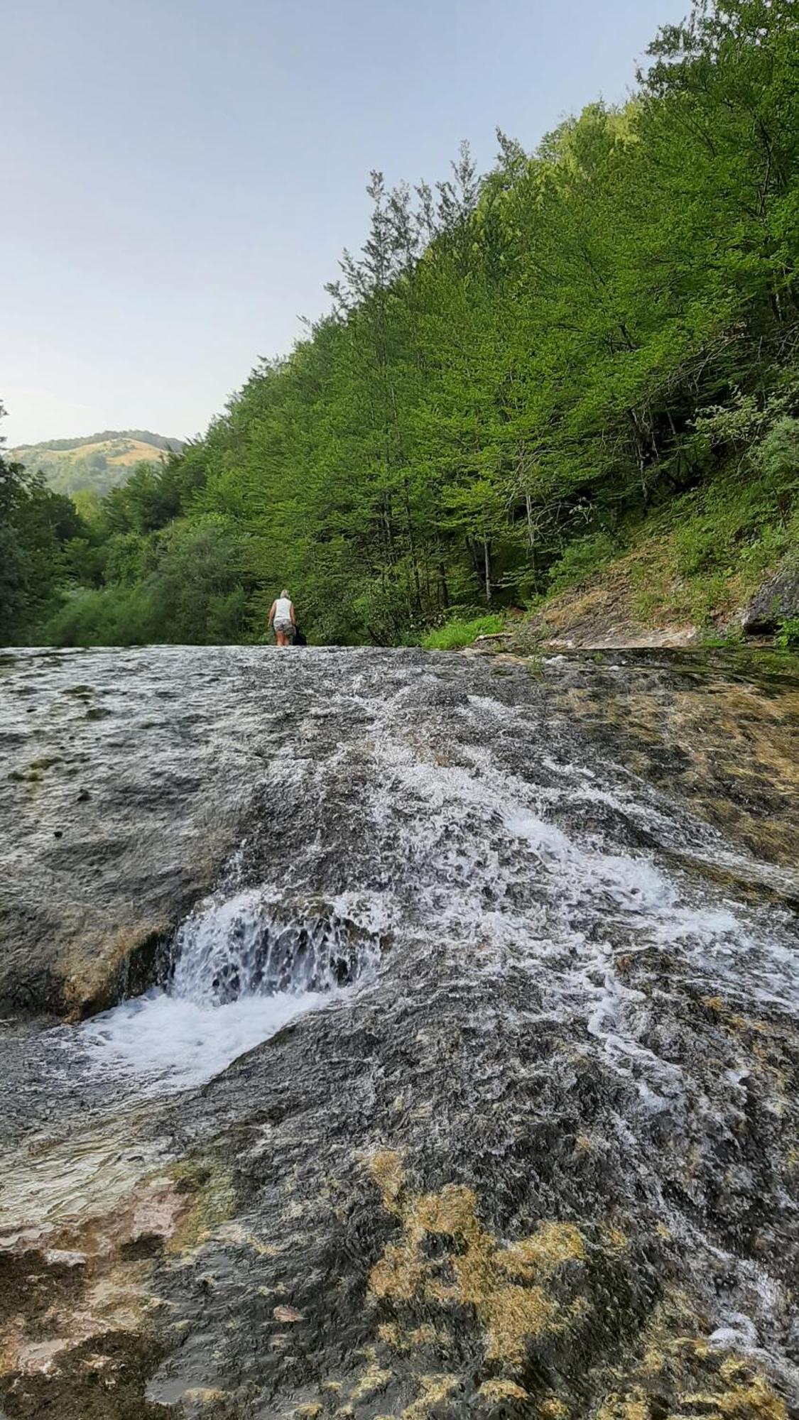 Apartments Durmitor Žabljak Dış mekan fotoğraf