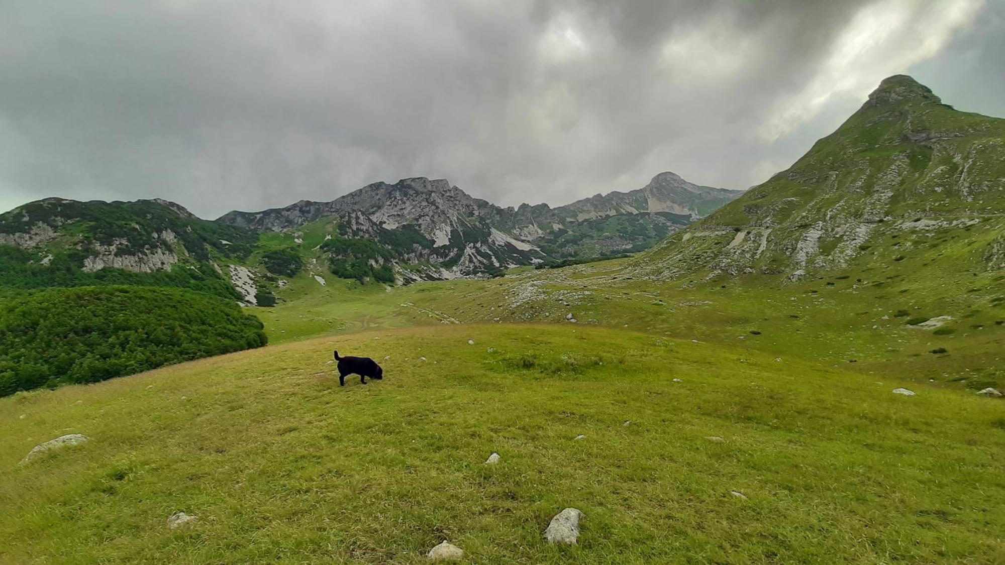 Apartments Durmitor Žabljak Dış mekan fotoğraf