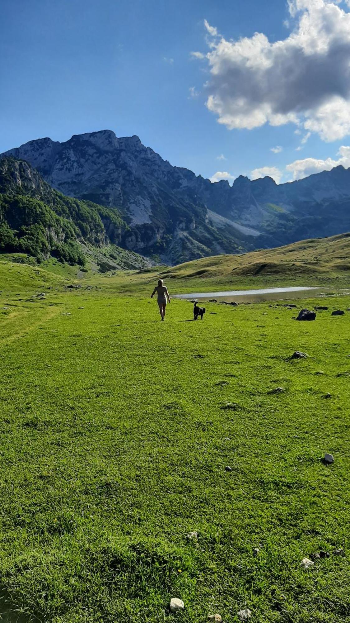 Apartments Durmitor Žabljak Dış mekan fotoğraf