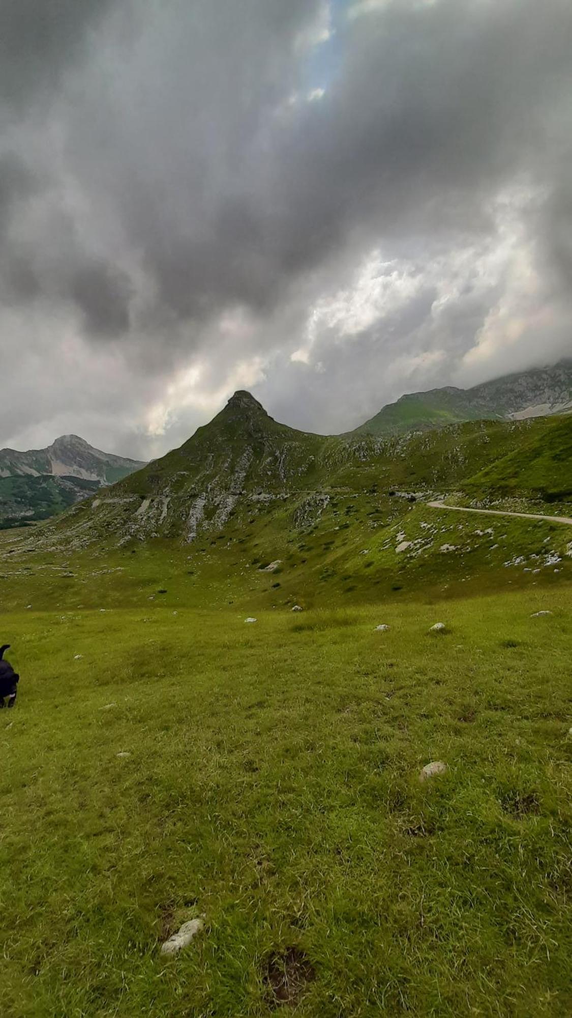 Apartments Durmitor Žabljak Dış mekan fotoğraf
