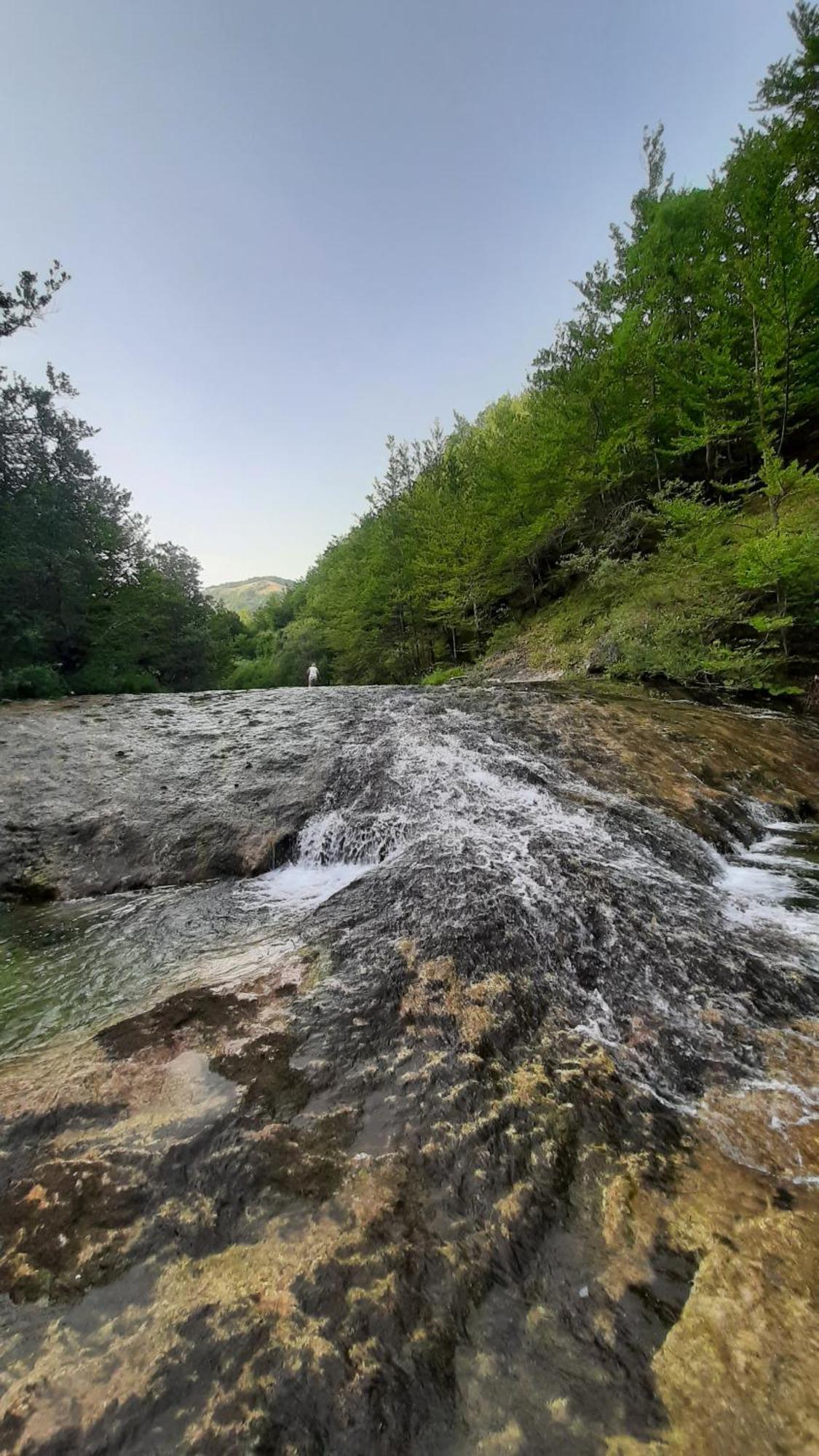 Apartments Durmitor Žabljak Dış mekan fotoğraf