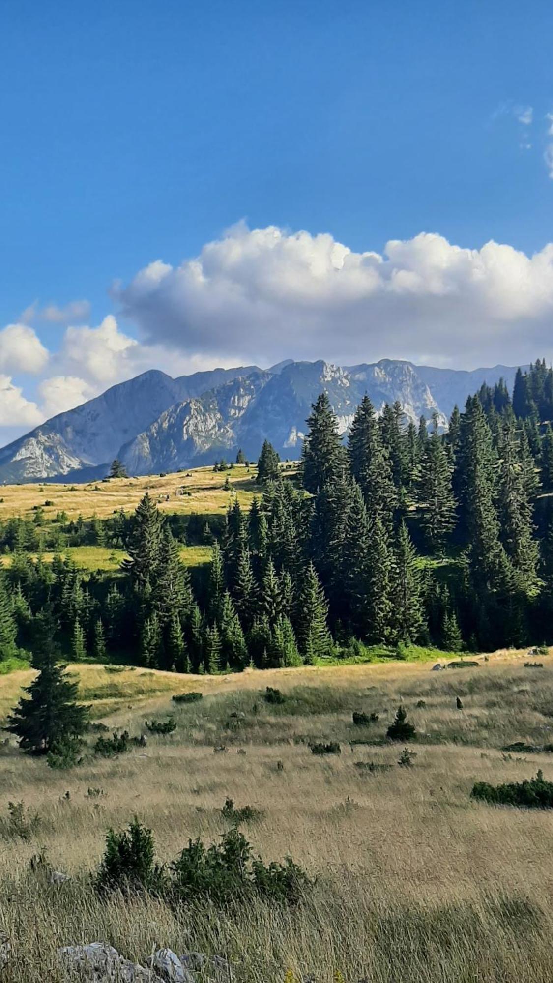 Apartments Durmitor Žabljak Dış mekan fotoğraf