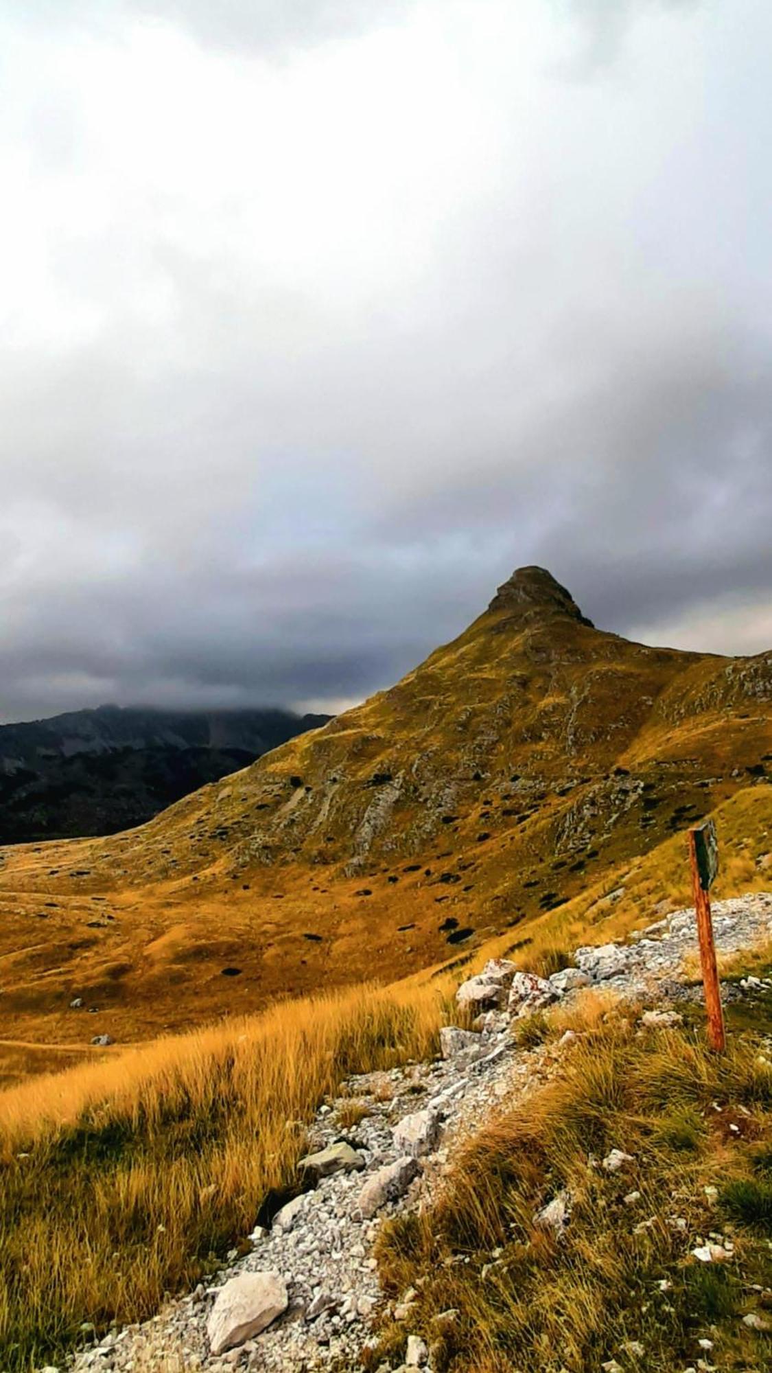 Apartments Durmitor Žabljak Dış mekan fotoğraf